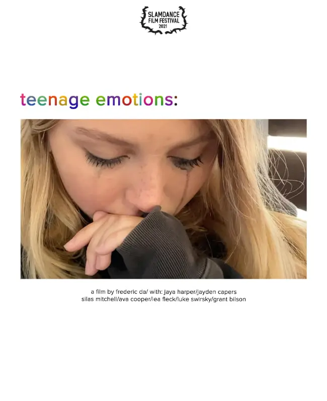 青春期杂绪 海报