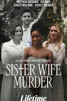 《姐妹妻子谋杀案》：扑朔迷离的惊悚谜局，揭开人性深处的暗流涌动