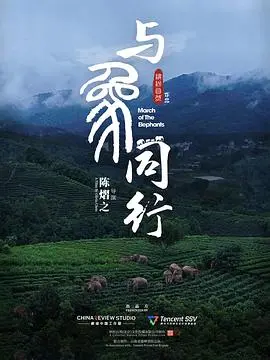 《与象同行》：当古老智慧与现代反思相遇，一场关于生命、家庭与自然失落的温柔呼唤！